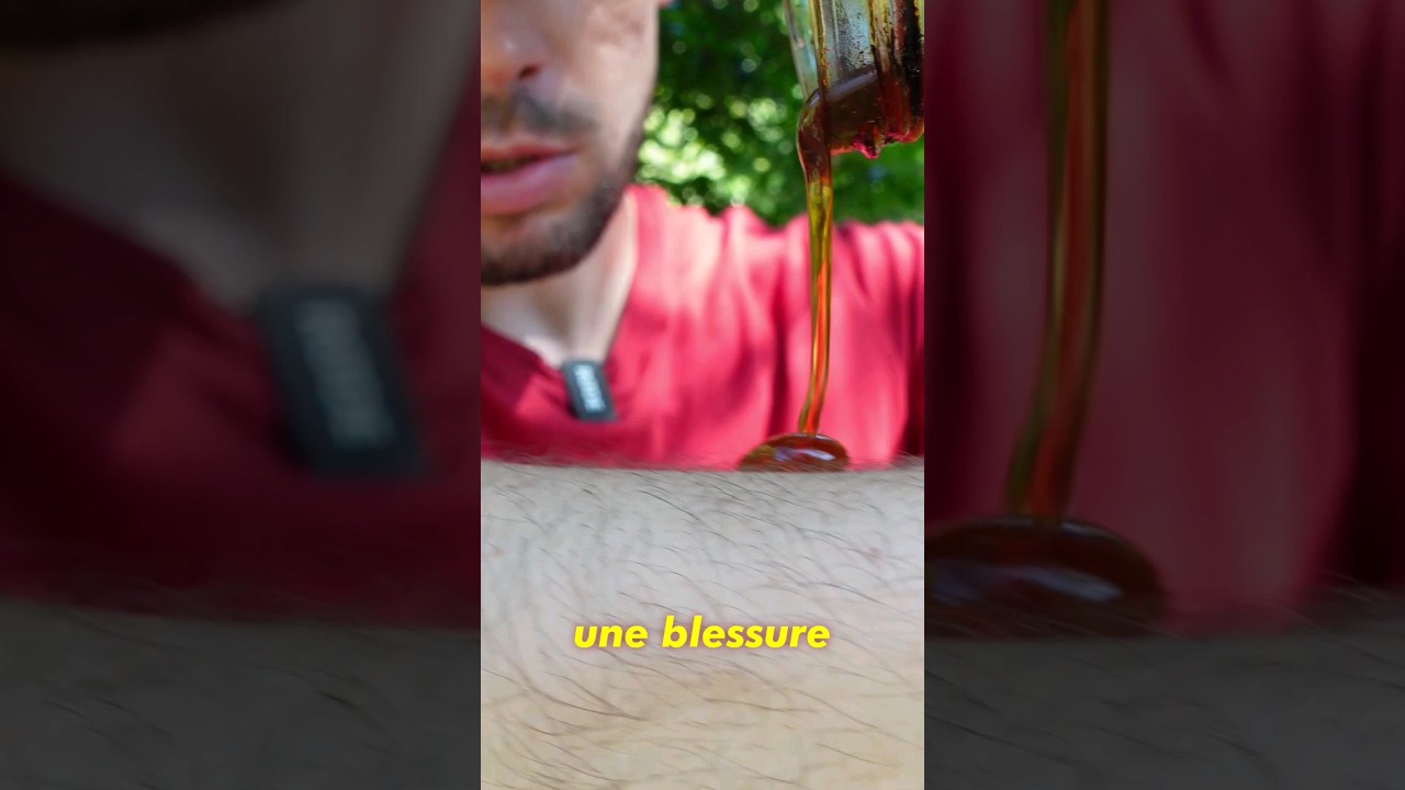 Utiliser du miel comme pansement sur une blessure ! 🩹🍯