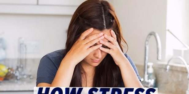 Cortisol : Comprendre l&rsquo;Hormone du Stress et Ses Impacts sur la Santé