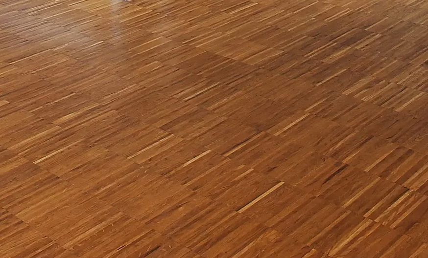 Maine Coon géant : poids et morphologie de la race